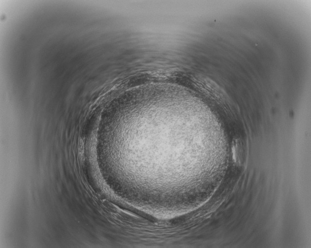 X0000087561347200705041343