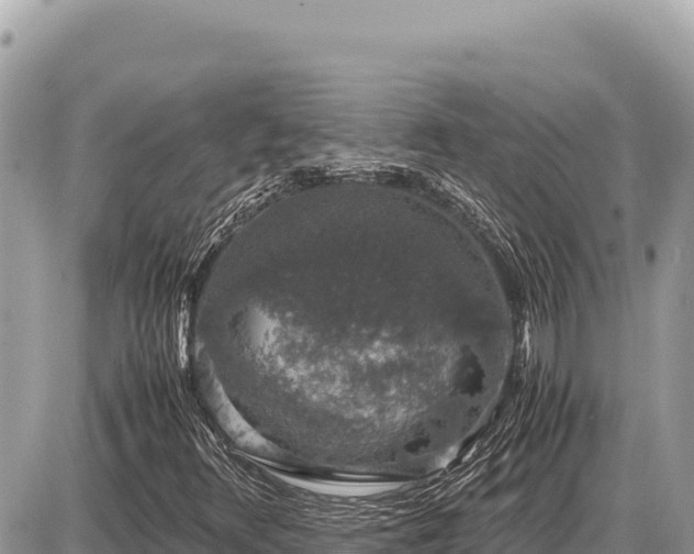 X0000087561348200705041343