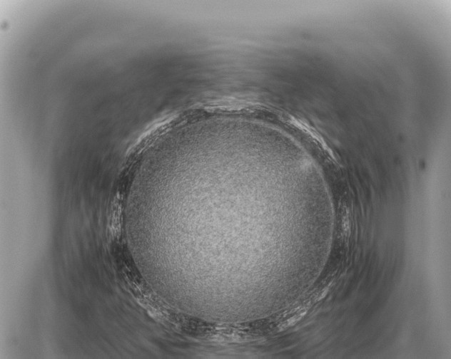 X0000087561350200705041343