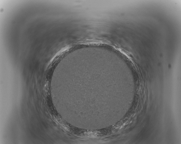 X0000087561351200705041342