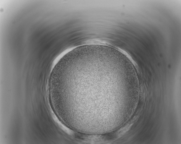 X0000087561387200705041342