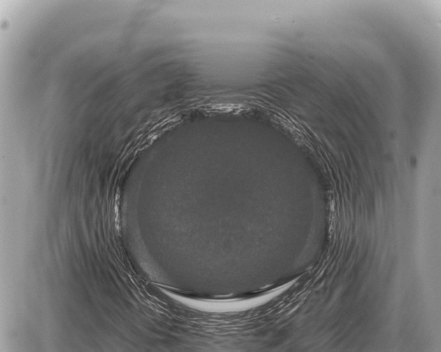 X0000087561394200705041341