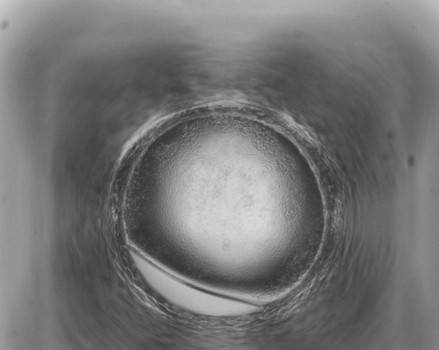 X0000087561400200705041341
