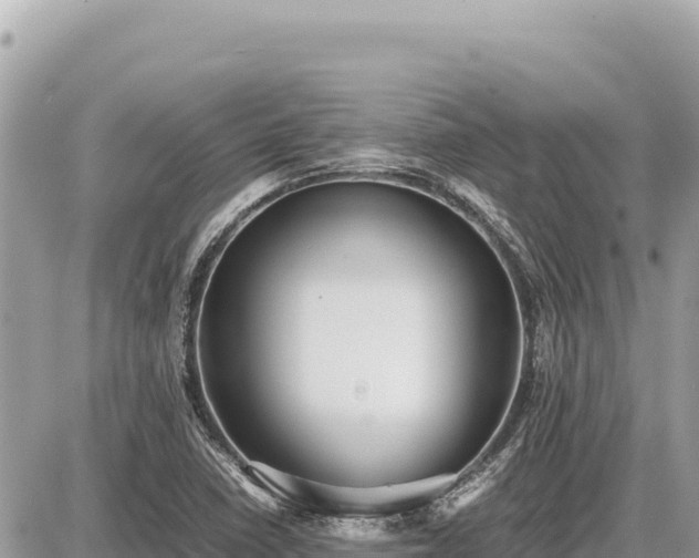 X0000087561410200705041341