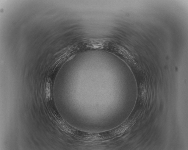 X0000087561442200705041341