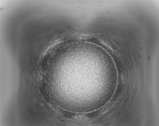 X0000087561447200705041341