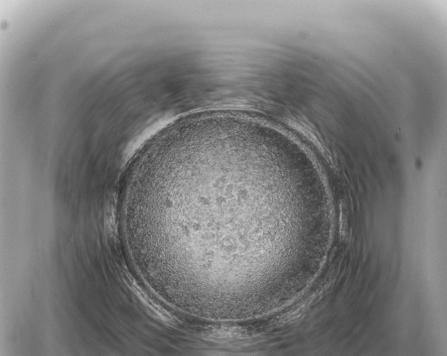 X0000087561452200705041341