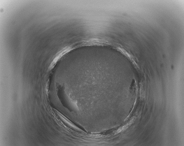 X0000087561453200705041341