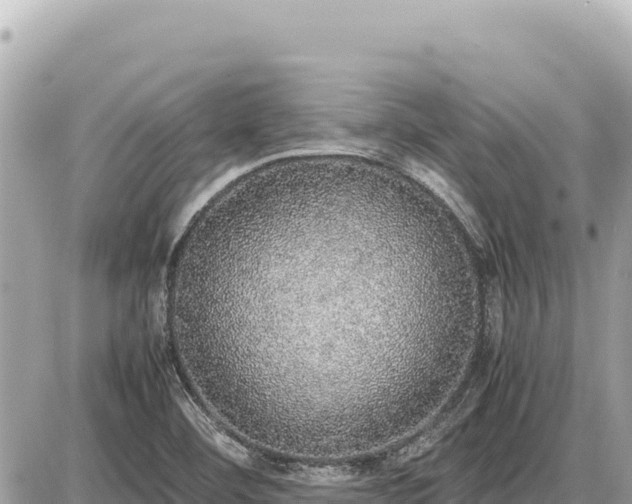 X0000087561460200705041341