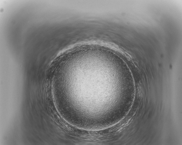 X0000087561494200705041340