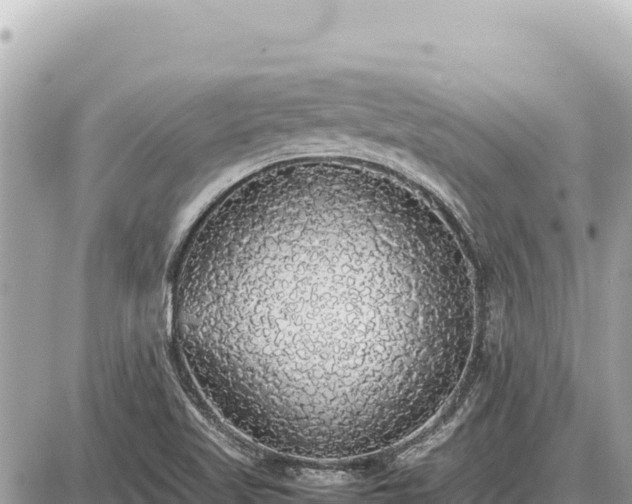 X0000087561509200705041340