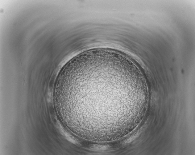 X0000087561513200705041340