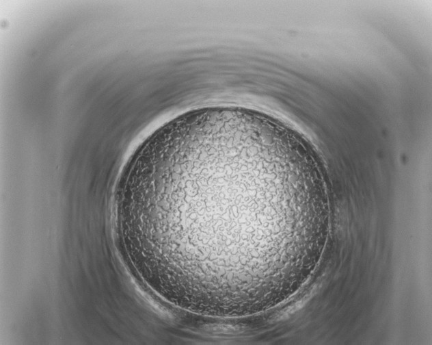 X0000087561517200705041340