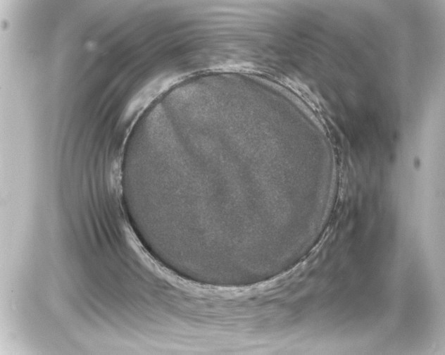X0000087560002200705112159