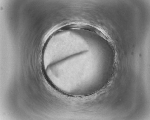 X0000087560007200705112159