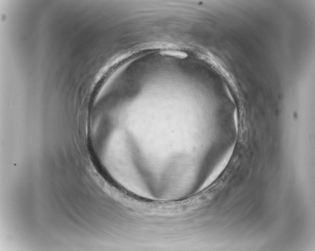 X0000087560011200705112159