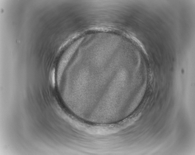 X0000087560020200705112158