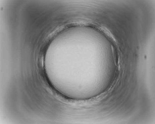 X0000087560021200705112158