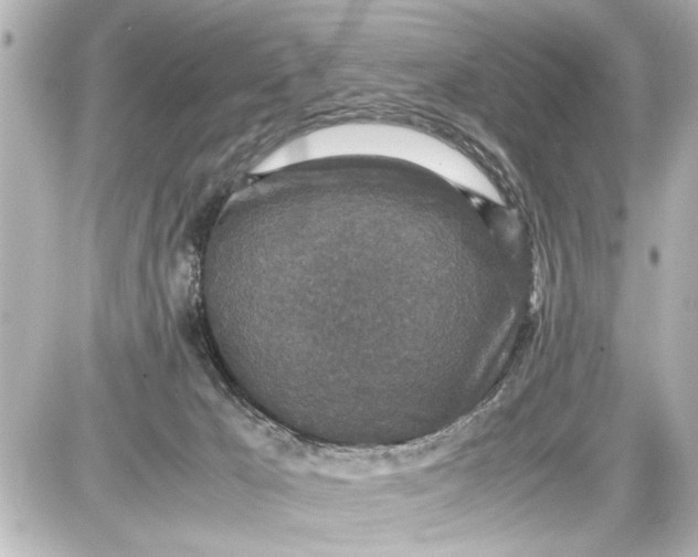 X0000087560029200705112158