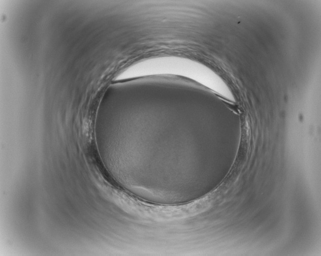 X0000087560031200705112158