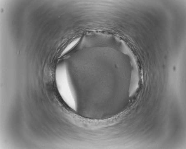 X0000087560039200705112158