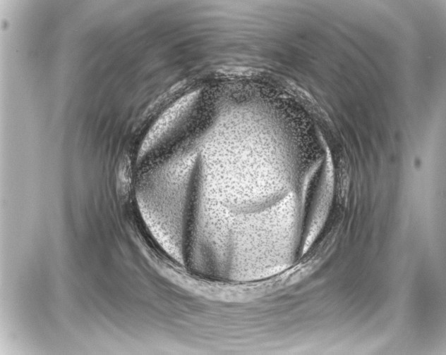 X0000087560040200705112158
