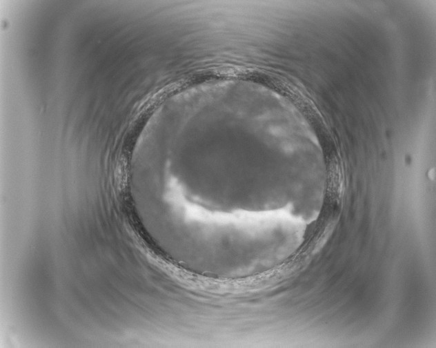 X0000087560043200705112158
