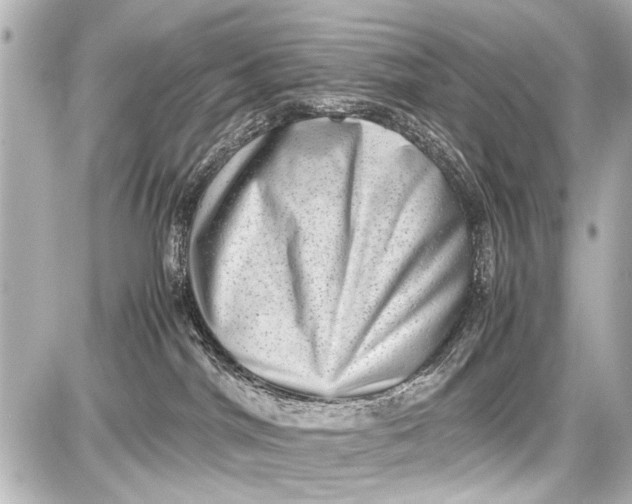 X0000087560044200705112158