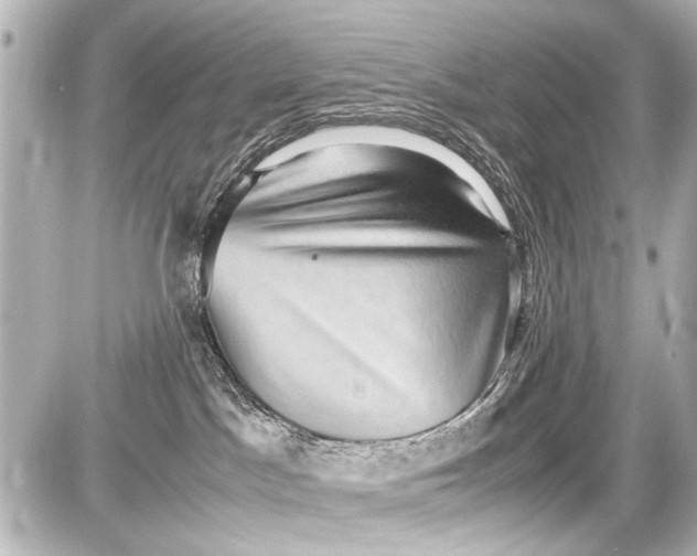 X0000087560045200705112158