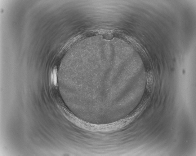 X0000087560046200705112158