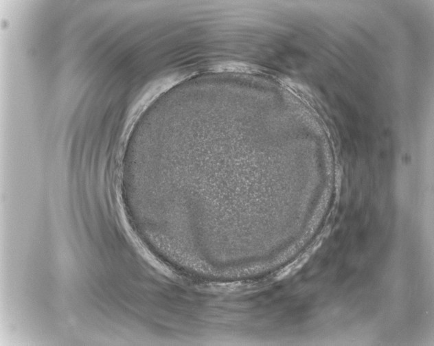X0000087560049200705112157
