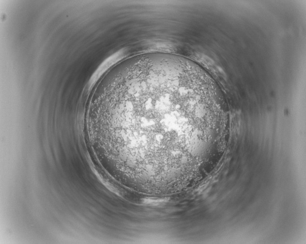 X0000087560051200705112157