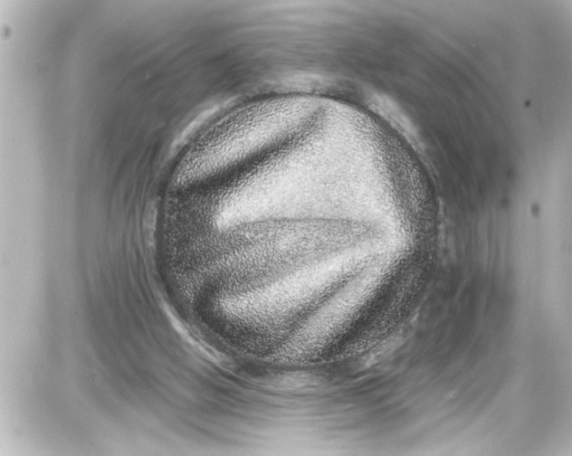 X0000087560058200705112157