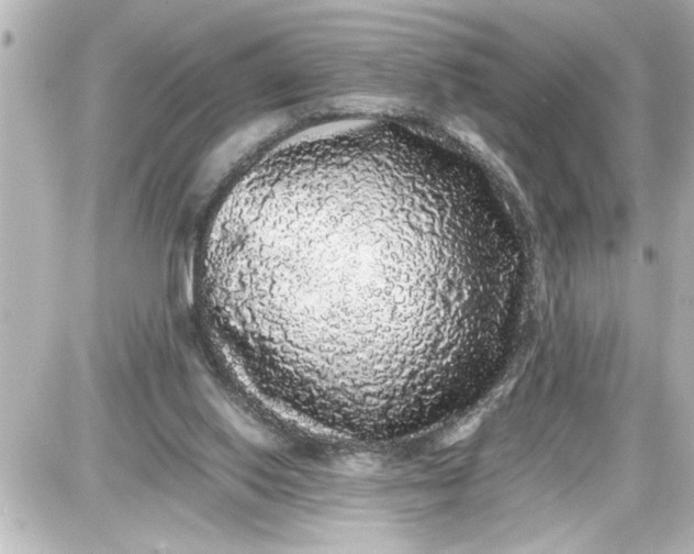 X0000087560062200705112157