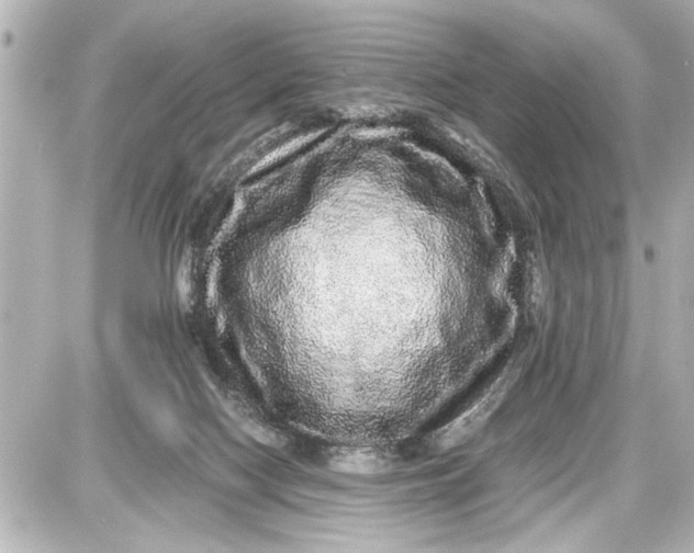 X0000087560074200705112158