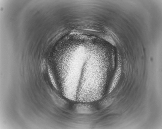 X0000087560077200705112158