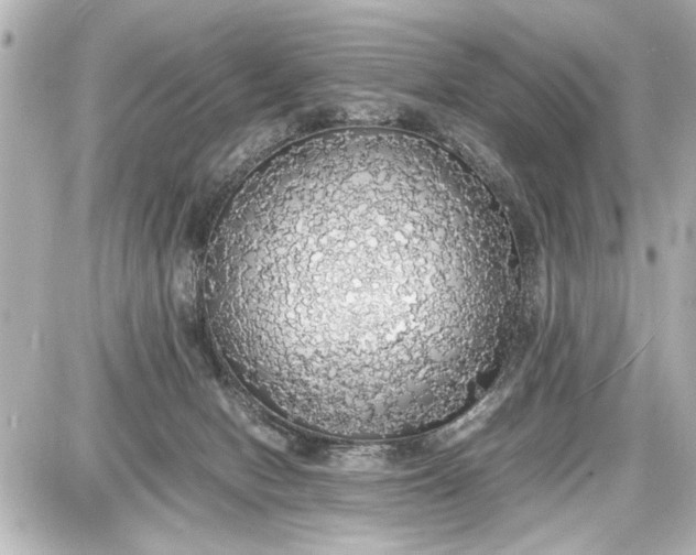 X0000087560078200705112158