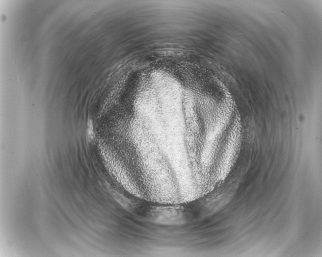 X0000087560089200705112158