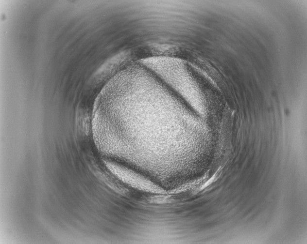 X0000087560090200705112158