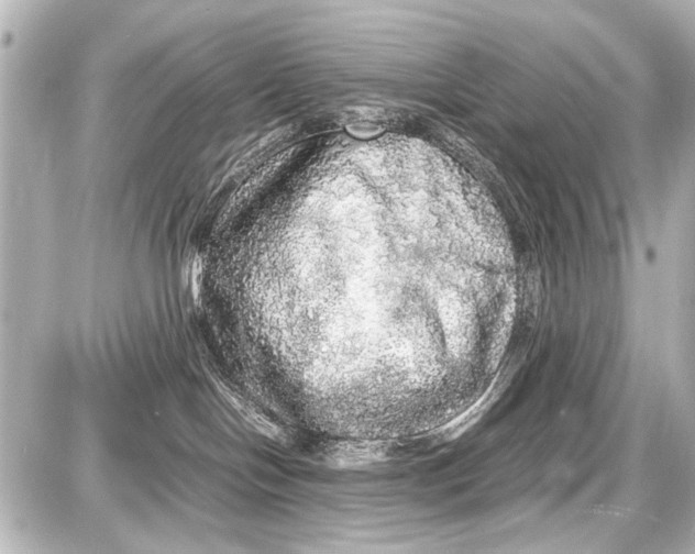 X0000087560094200705112158