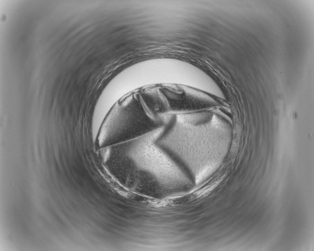 X0000087560096200705112158