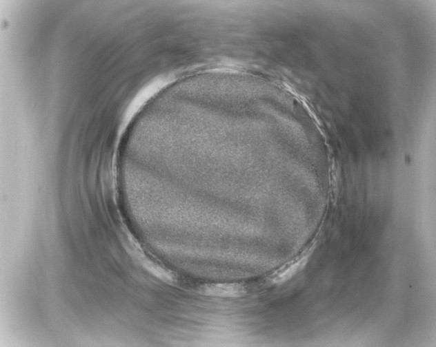 X0000087560102200705112157