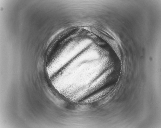 X0000087560107200705112157