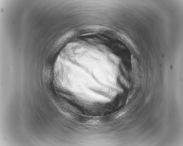 X0000087560119200705112157