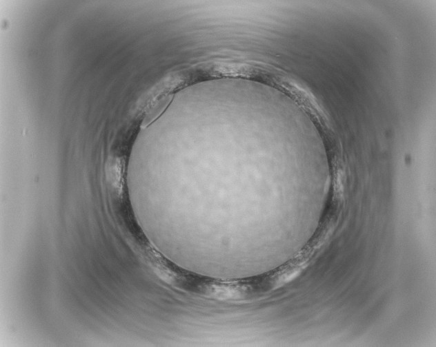 X0000087560121200705112157
