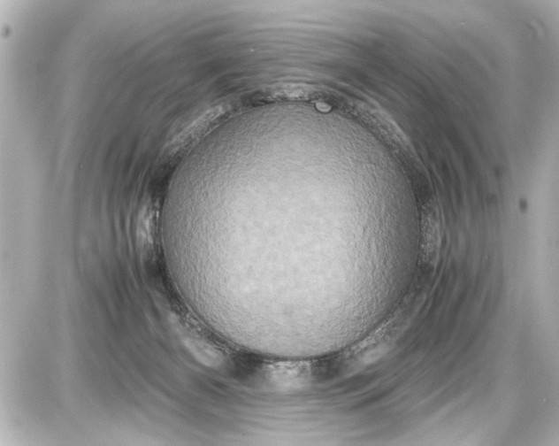 X0000087560126200705112157