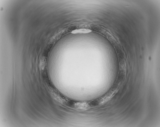 X0000087560133200705112157