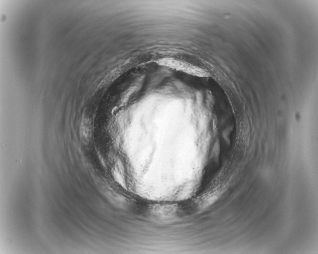 X0000087560135200705112157