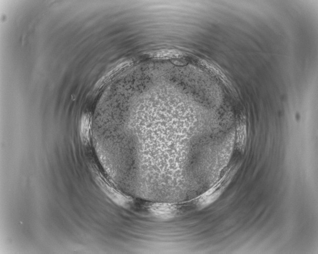 X0000087560142200705112157