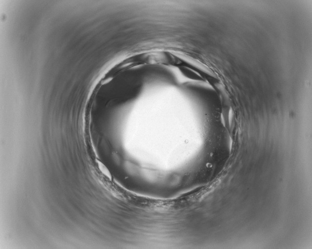 X0000087560148200705112156
